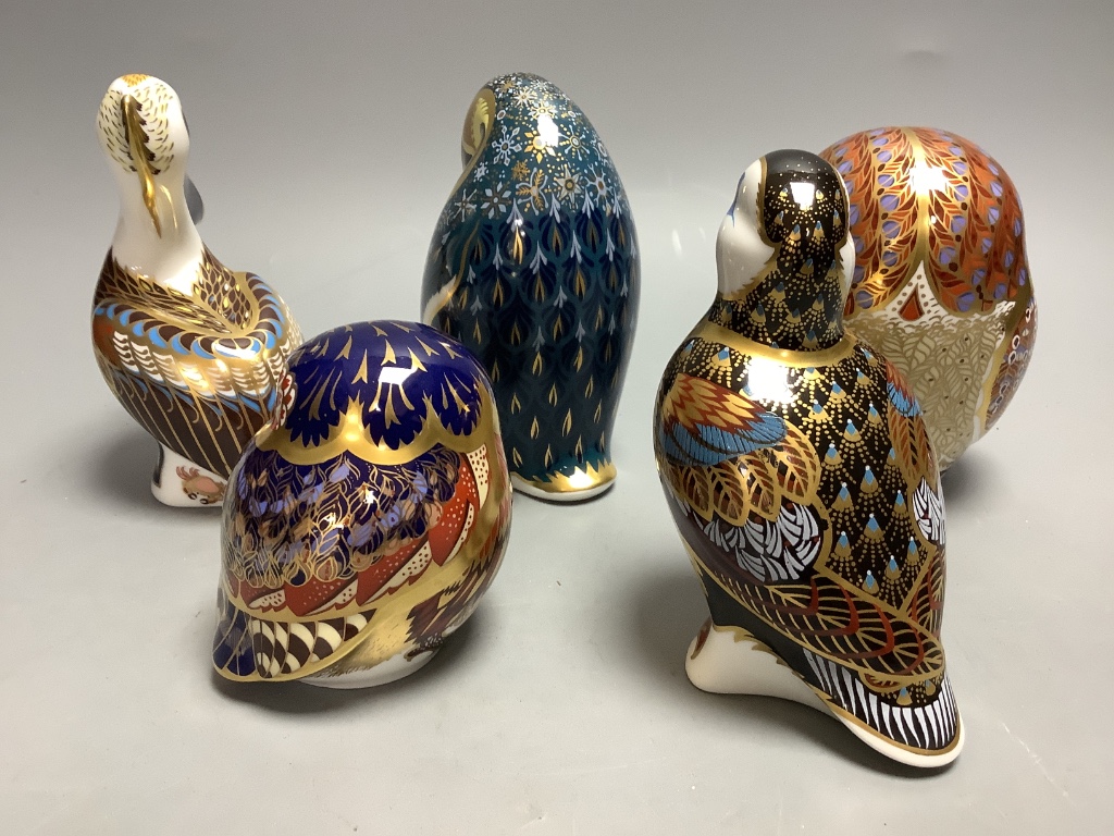 Five Royal Crown Derby bird paperweights, Barn Owl, Little Grey Owl, Aurora Mother Penguin, Puffin and Brown Pelican, tallest 13cm